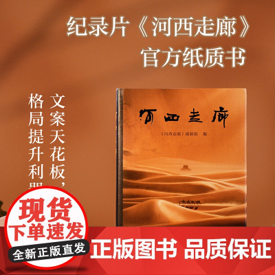 河西走廊 全彩高清图 高分纪录片原版书 文案之神 作文必备