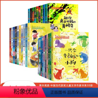 [ 1.2.3辑-全30本]中国当代获奖作品 [正版]礼盒装中国当代获奖儿童文学作家书系 1 2 3辑共30册注音版一年