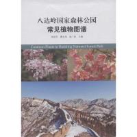 正版新书]八达岭国家森林公园常见植物图谱朱绍文9787503874826