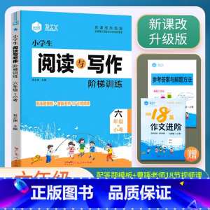 阅读与写作阶梯训练 小学六年级 [正版]2025思脉小学生阅读与写作阶梯训练六6年级+小考语文阅读作文辅导视频课件6年级
