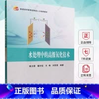 水处理中的高级氧化技术 [正版]水处理中的氧化技术 韩卫清 臭氧芬顿电化学光化学湿式氧化氧化技术降解机理工程应用书籍 北