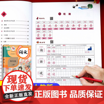四年级上册同步字帖人教版语文练字帖每日一练 小学生专用4年级字帖练字笔顺笔顺生字摹写本钢笔描红练字本田字格写字控笔训练部