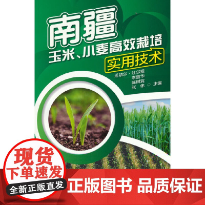 南疆玉米、小麦高效栽培实用技术