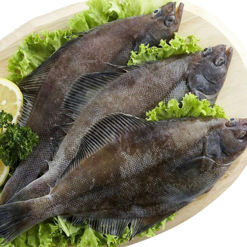 赛卡伊 深海鲽鱼整条比目鱼特大碟鱼偏口鱼鱼多宝鱼新鲜 600-800g/条