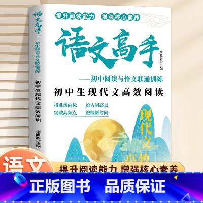 语文高手 小学通用 [正版]语文高手初中阅读与作文联通训练内外全解全析现代文高效阅读传统文化一本通中考满分作文解密课外文