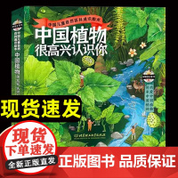 [正版]中国植物很高兴认识你全4册 儿童自然百科通识绘本5-12岁小学生科普启蒙 春夏秋冬图鉴 地理乡土动物生物知识