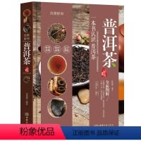 [正版] 普洱茶品鉴 林婧琪著 一本书认识普洱茶 优雅醇和 普洱茶手册 普洱茶茶道 茶叶选购指南 茶艺大全 艺术收藏鉴