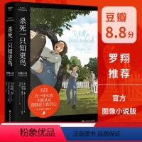 [正版]杀死一只知更鸟 图像小说 外国文学 长篇小说 文字上忠实原 图文并茂更好读 沉浸的故事体验 文化出品