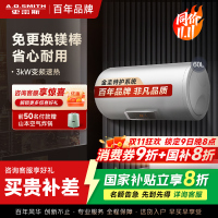 AO史密斯60升电热水器 专利免更换镁棒 金圭内胆 速热节能 纤美长款 大屏E60VC0 一级能效