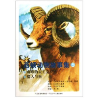 正版新书]山峰的大王克拉格-猎人与狗-西顿动物故事集-5西顿9787
