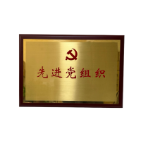 晨洋(CYSM)可定制奖牌摆件 CYBG011 块