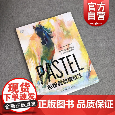 色粉画创意技法 [美]多恩·爱默生著40幅色粉画详细步骤教学水彩炭笔版画色粉画综合材料绘画技法基础进阶教程书上海人民美术