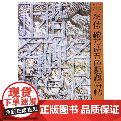 正版 正楷名碑名帖导临——宋赵佶秾芳诗五色鹦鹉诗帖 周绍光著 山东美术出版社