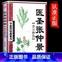 [正版]中医药经典著作--医圣张仲景奇方妙治 中医名家奇方妙治丛书中医入门阅读参考书籍中医奇方妙方疑难杂症中医药学经典