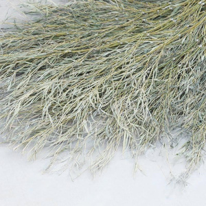 江小果大竹扫把 JXG-DZSB把