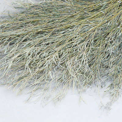 江小果大竹扫把 JXG-DZSB把