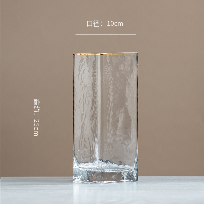 北欧轻奢透明玻璃花瓶纳丽雅家居客厅餐桌水培插花现代简约装饰品摆件锤纹金边25*10（透明）