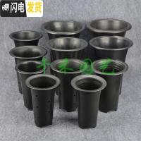 三维工匠塑料花盆透气盆气生盆国兰盆洋兰盆黑色凹底、平底兰花盆 黑色4寸凹底无边孔 5个(送1米网套)花盆容器