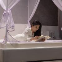 美帮汇支架蚊帐防摔儿童全封闭拉链式加密公主风1.5m1.8米床家用