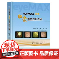 eyeMAX洞察胆囊疾病诊疗图谱王宏光陶丽莹主编东南大学出版社9787576619577