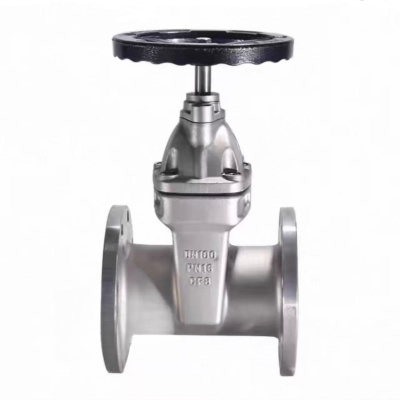 般德 不锈钢软密封闸阀 DN100 台