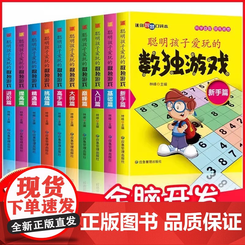 聪明孩子爱玩的数独游戏全10册 数独小学生九宫格数独游戏儿童入门一年级二年级数独趣味闯关阶梯训练练习册四宫格数独幼儿园思