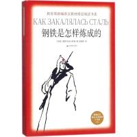 正版新书]教育部新编语文教材指定阅读书系?钢铁是怎样炼成的尼