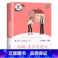 汤姆索亚历险记 [正版]六年级下册快乐读书吧人民教育出版社尼尔斯骑鹅旅行记汤姆索亚历险记鲁滨逊漂流记全套6册小学生课外阅