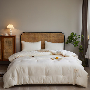 婵思 简约时尚生态棉大豆夏被