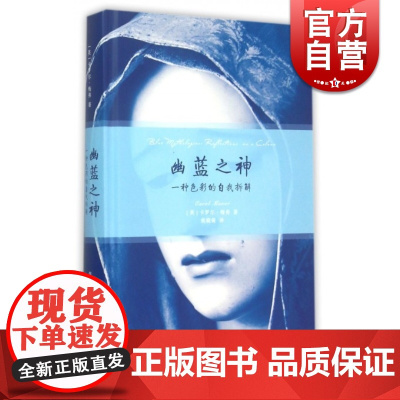 幽蓝之神 一种色彩的自我拆解 焦晓菊 译 卡罗尔·梅弗 著 艺术理论 文学艺术 正版图书籍 世纪文睿 上海人民 世纪出版