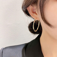 s925银圆圈耳环女扭纹设计高级感方圆脸百搭耳圈欧美气质显瘦耳饰