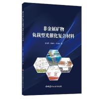 正版新书]非金属矿物负载型光催化复合材料孙志明,李春全,郑水林
