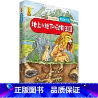 [硬壳精装]地上和地下的动物王国 [正版]硬壳精装十二生肖绘本 幼儿园绘本3-6岁十二生肖的故事书4岁书籍读物宝宝图画书
