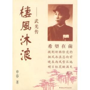 正版新书]楼风沐浪:武光传申春9787500455530