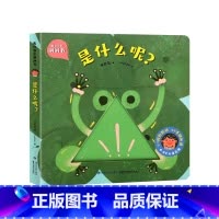 我的创意洞洞书:是什么呢? [正版]我的创意奇妙洞洞书全4册 婴儿早教书籍宝宝益智撕不烂认知绘本0-1一2岁适合一岁半