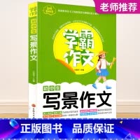初中生写景作文 国一下 [正版]2023秋浙江期末七八九年级上册下册语文数学英语科学历史与社会道德与法治人教版浙教版外研