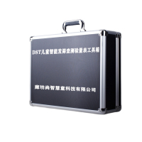 DST智能发育筛查测验量表0-6岁儿童智力评估减压工具