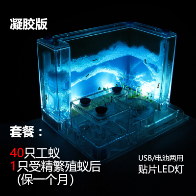 蚂蚁工坊别墅生态蚂蚁桌面饲养蚂蚁城堡发光蚂蚁观察箱子亲子交流兴趣培养创意玩具蓝带灯(45工+1后)繁殖版